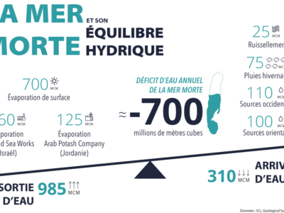 Pourquoi la mer se meurt-elle ?