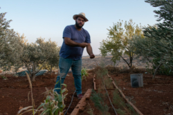 Fouad Muaddi : “Cultiver la terre et en récolter les fruits”